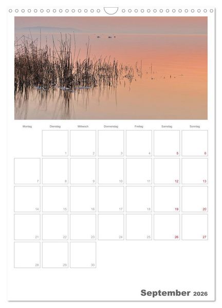 Produktbild: Insel R&uuml;gen / Planer (Wandkalender 2026 DIN A3 hoch), CALVENDO Monatskalender