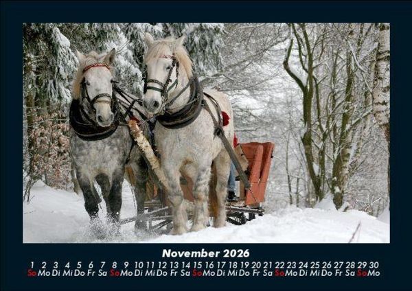 Produktbild: Pferdegefl&uuml;ster 2026 Fotokalender DIN A5