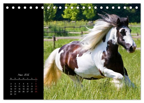 Produktbild: Irish Tinker (Tischkalender 2026 DIN A5 quer), CALVENDO Monatskalender
