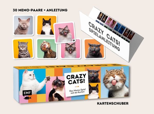 Memo-Spiel: Crazy cats!