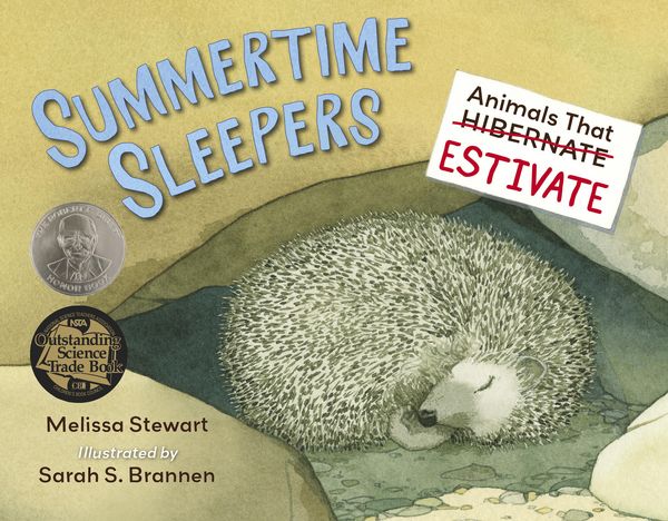 Produktbild: Summertime Sleepers
