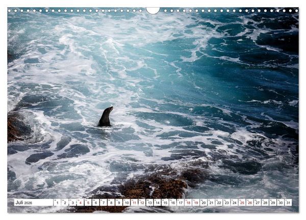 Produktbild: Wildlife Australien (Wandkalender 2026 DIN A3 quer), CALVENDO Monatskalender