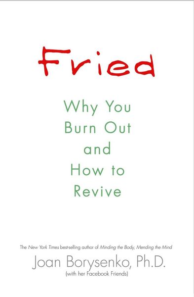 Produktbild: Fried