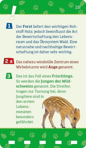 Produktbild: WAS IST WAS Quiz Natur und Tiere