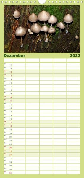 Produktbild: Familienplaner Pilze, Pilze (Wandkalender 2022 , 21 cm x 45 cm, hoch)