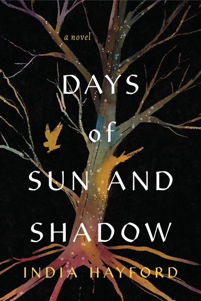 Produktbild: Days of Sun and Shadow