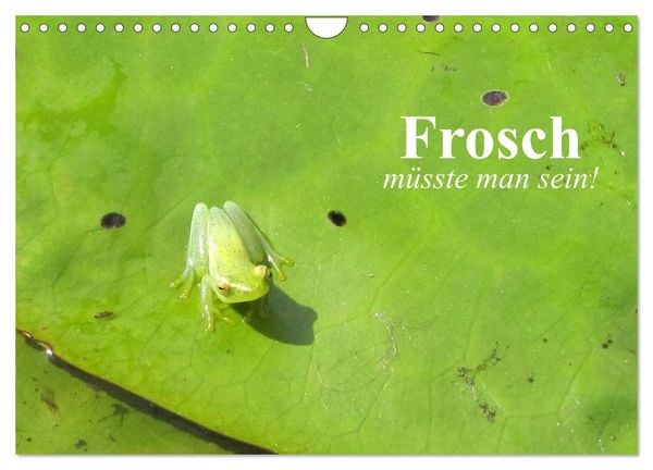 Produktbild: Frosch m&uuml;sste man sein! (Wandkalender 2026 DIN A4 quer), CALVENDO Monatskalender