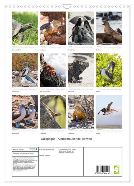 Produktbild: Galapagos - Atemberaubende Tierwelt (Wandkalender 2026 DIN A3 hoch), CALVENDO Monatskalender