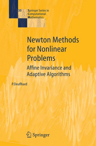 Produktbild: Newton Methods for Nonlinear Problems