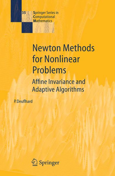 Produktbild: Newton Methods for Nonlinear Problems