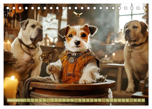 Produktbild: Pfoten Magie (Tischkalender 2026 DIN A5 quer), CALVENDO Monatskalender