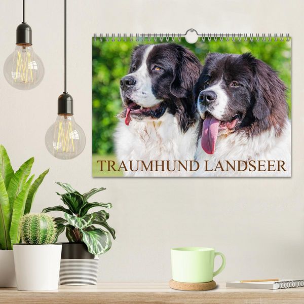 Produktbild: Traumhund Landseer (Wandkalender 2026 DIN A4 quer), CALVENDO Monatskalender