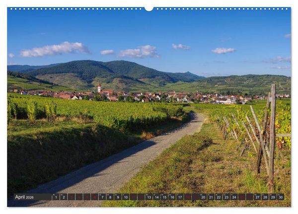 Produktbild: Elsass - Zwischen Rhein und Vogesen (Wandkalender 2026 DIN A2 quer), CALVENDO Monatskalender