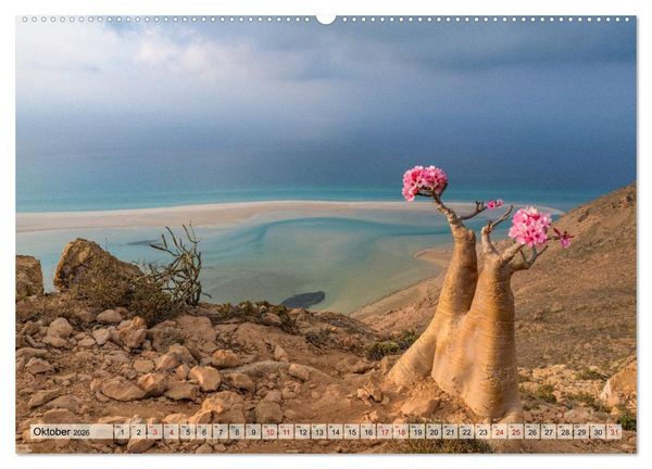 Produktbild: SOKOTRA - Magische Insel (hochwertiger Premium Wandkalender 2026 DIN A2 quer), Kunstdruck in Hochglanz