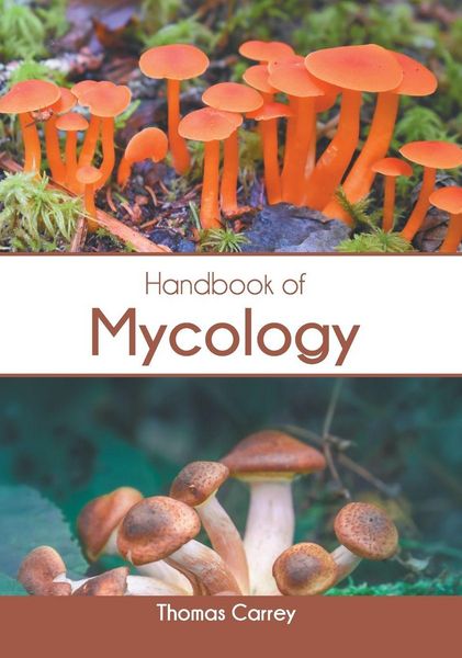Produktbild: Handbook of Mycology