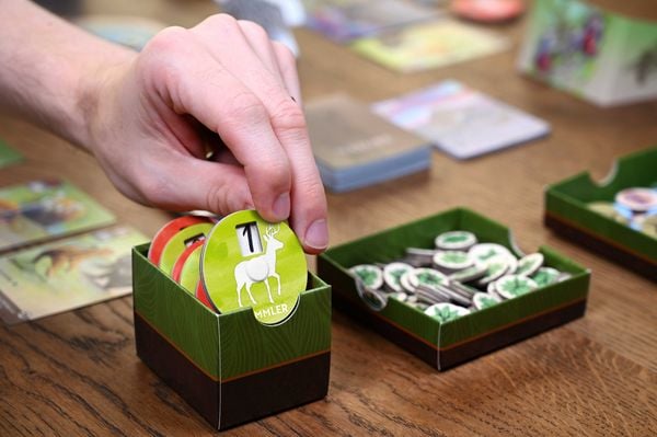 Produktbild: HABA 2014453001 - Nature, Spannendes &Ouml;kosystem-Spiel, Brett- und Kartenspiel, Strategiespiel
