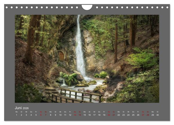 Produktbild: Waldgeheimnisse (Wandkalender 2026 DIN A4 quer), CALVENDO Monatskalender