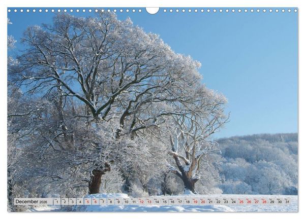 Produktbild: Snow Scenes (Wall Calendar 2026 DIN A3 landscape), CALVENDO 12 Month Wall Calendar