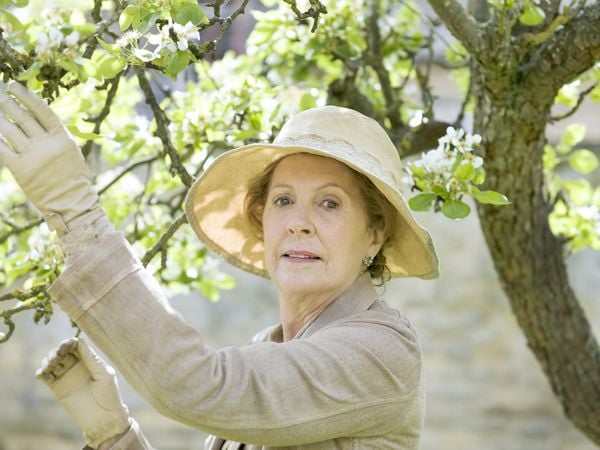 Downton Abbey - Staffel 5  [4 DVDs]