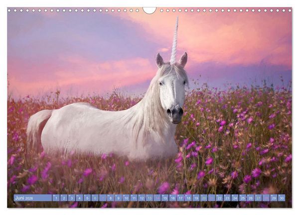 Produktbild: Einhorn Zauber - anmutige Einhornbilder (Wandkalender 2026 DIN A3 quer), CALVENDO Monatskalender