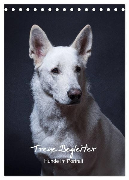 Produktbild: Treue Wegbegleiter, Hunde im Portrait. (Tischkalender 2026 DIN A5 hoch), CALVENDO Monatskalender
