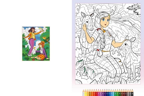 Produktbild: Malen nach Zahlen Manga