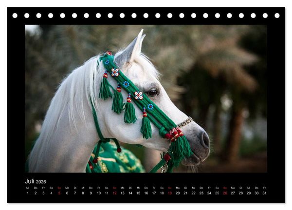Produktbild: Vollblutaraber (Tischkalender 2026 DIN A5 quer), CALVENDO Monatskalender