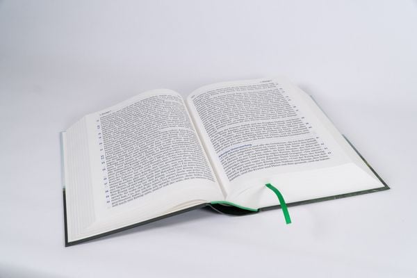 Produktbild: Elberfelder Bibel in gro&szlig;er Schrift