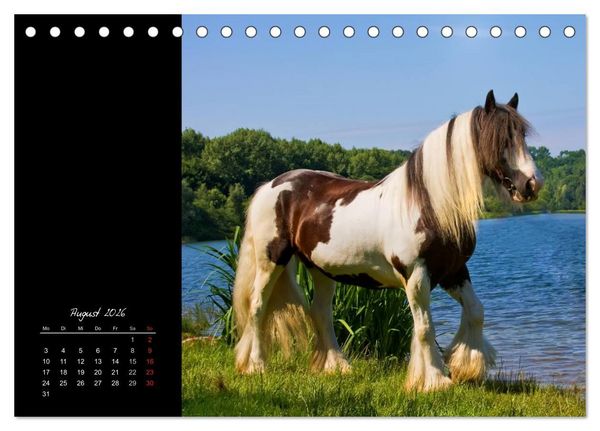 Produktbild: Irish Tinker (Tischkalender 2026 DIN A5 quer), CALVENDO Monatskalender