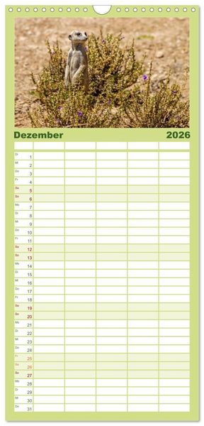 Produktbild: Familienplaner 2026 - Afrikas Tierwelt - Erdm&auml;nnchen mit 5 Spalten (Wandkalender, 21 x 45 cm) CALVENDO