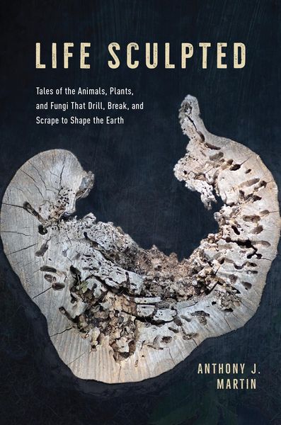 Produktbild: Life Sculpted