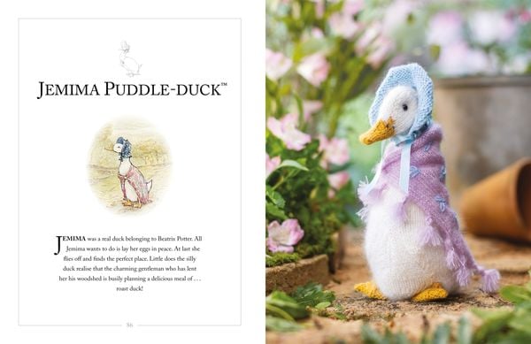 Produktbild: Knitting Peter Rabbit(TM)