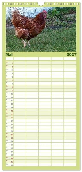 Produktbild: Familienplaner 2027 - Die H&uuml;hner sind los! mit 5 Spalten (Wandkalender, 21 x 45 cm) CALVENDO