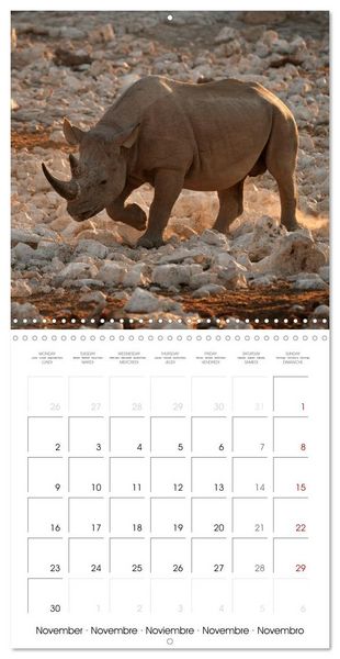 Produktbild: Namibian Adventure (Wall Calendar 2026 12 &times; 12 Inch) CALVENDO 12 Month Wall Calendar