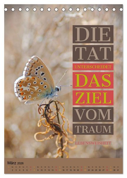 Produktbild: Aktiviere Deine Motivation Weisheiten und Spr&uuml;che (Tischkalender 2026 DIN A5 hoch), CALVENDO Monatskalender
