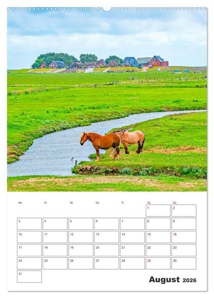 Produktbild: Hallig Hooge - Reiseplaner (Wandkalender 2026 DIN A2 hoch), CALVENDO Monatskalender