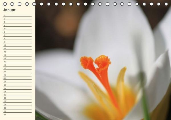 Produktbild: Geburtstagskalender "Nette Kleinigkeiten" (Tischkalender immerw&auml;hrend DIN A5 quer)