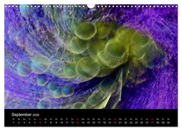 Produktbild: Magischer Wald (Wandkalender 2026 DIN A3 quer), CALVENDO Monatskalender