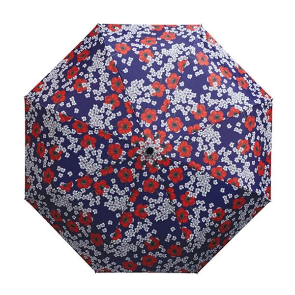 Produktbild: Easy Umbrella Anemone