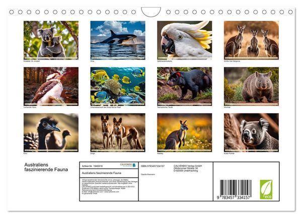 Produktbild: Australiens faszinierende Fauna (Wandkalender 2026 DIN A4 quer), CALVENDO Monatskalender