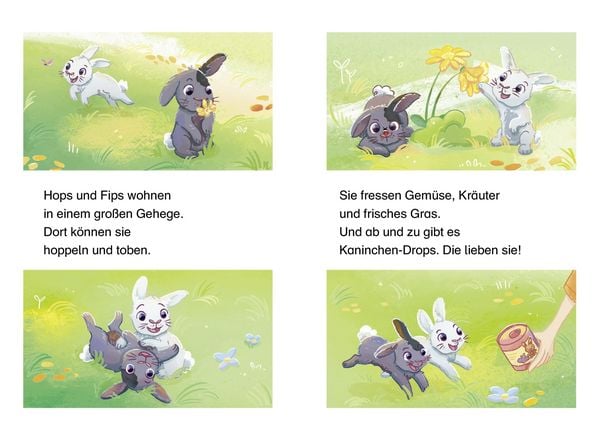 Produktbild: Mein supers&uuml;&szlig;es Haustier. Hops und Fips rei&szlig;en aus