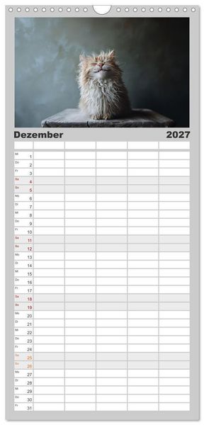 Produktbild: Familienplaner 2027 - Auch Katzen lachen gern mit 5 Spalten (Wandkalender, 21 x 45 cm) CALVENDO