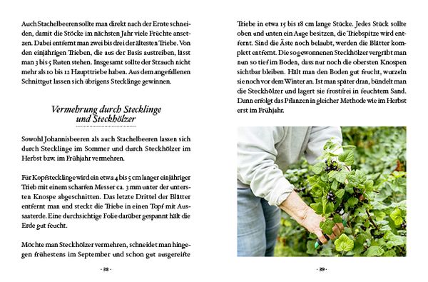 Produktbild: Das große kleine Buch: Mein Naschgarten