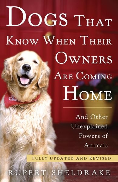 Produktbild: Dogs That Know When Their Owners Are Coming Home