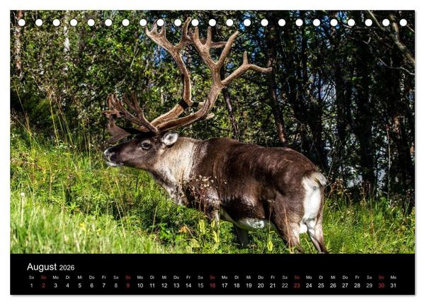 Produktbild: Erlebnis Norwegen: Narvik bis Troms&oslash; (Tischkalender 2026 DIN A5 quer), CALVENDO Monatskalender