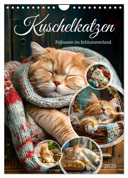 Kuschelkatzen - Fellnasen im Schlummerland (Wandkalender 2025 DIN A4 hoch), CALVENDO Monatskalender