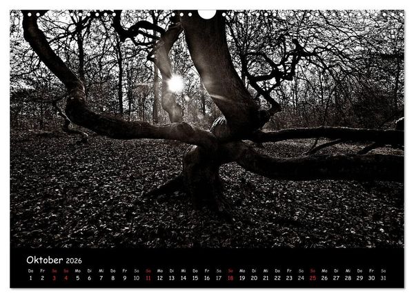 Produktbild: R&uuml;gen in schwarz-wei&szlig; (Wandkalender 2026 DIN A3 quer), CALVENDO Monatskalender