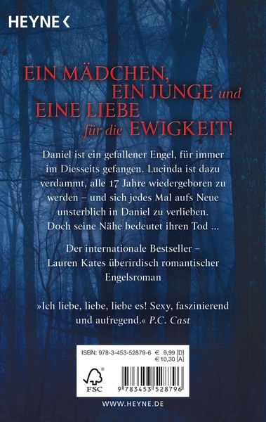 Produktbild: Engelsnacht/ Fallen Band 1