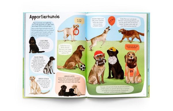 Produktbild: Das Hunde-Buch