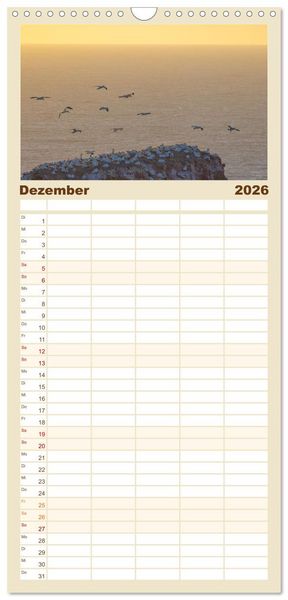 Produktbild: Familienplaner 2026 - Basst&ouml;lpel - Helgolands faszinierende V&ouml;gel mit 5 Spalten (Wandkalender, 21 x 45 cm) CALVENDO